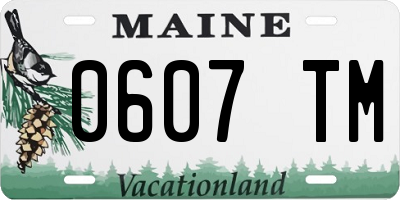 ME license plate 0607TM
