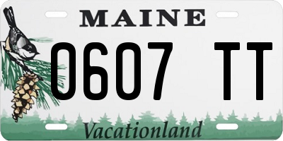 ME license plate 0607TT