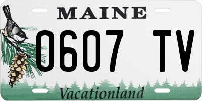 ME license plate 0607TV