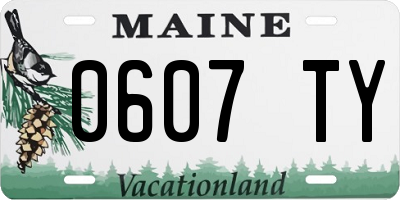 ME license plate 0607TY