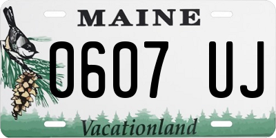 ME license plate 0607UJ