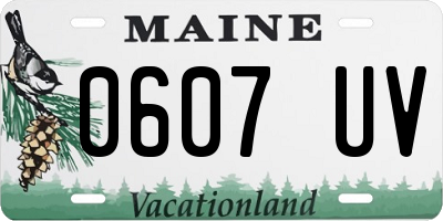 ME license plate 0607UV