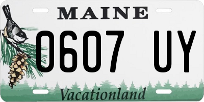 ME license plate 0607UY
