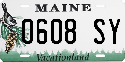 ME license plate 0608SY