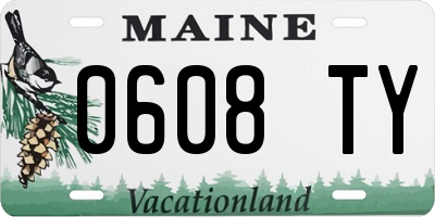 ME license plate 0608TY
