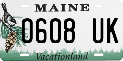 ME license plate 0608UK