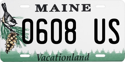 ME license plate 0608US