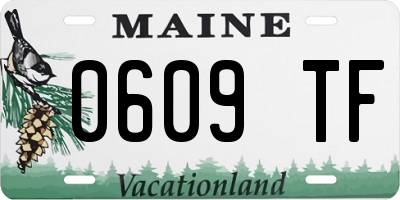 ME license plate 0609TF