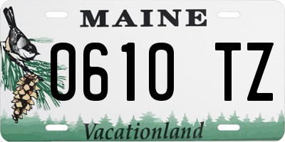 ME license plate 0610TZ