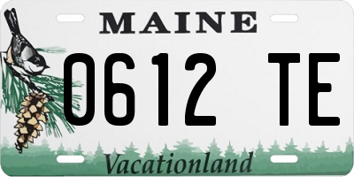 ME license plate 0612TE