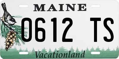 ME license plate 0612TS