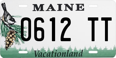 ME license plate 0612TT