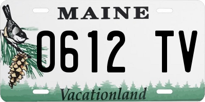 ME license plate 0612TV