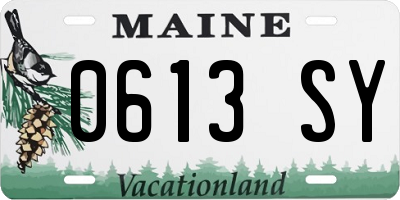ME license plate 0613SY