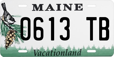 ME license plate 0613TB