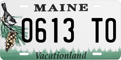 ME license plate 0613TO