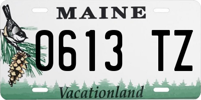 ME license plate 0613TZ