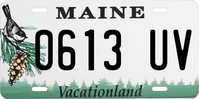 ME license plate 0613UV