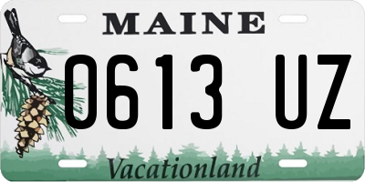 ME license plate 0613UZ