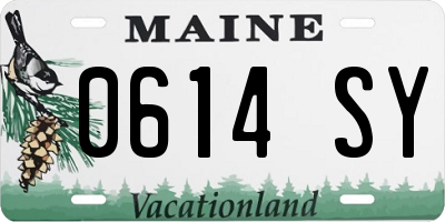 ME license plate 0614SY