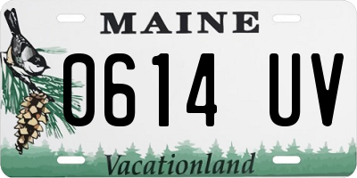 ME license plate 0614UV