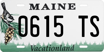ME license plate 0615TS