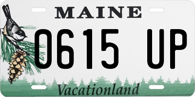 ME license plate 0615UP