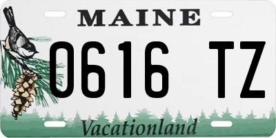 ME license plate 0616TZ