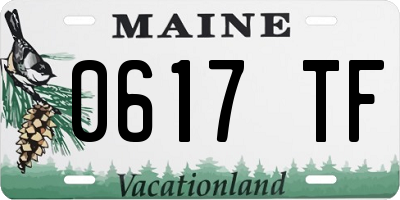 ME license plate 0617TF