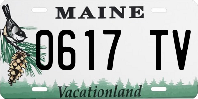 ME license plate 0617TV