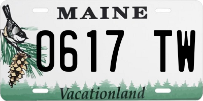 ME license plate 0617TW