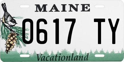 ME license plate 0617TY