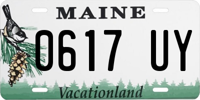 ME license plate 0617UY