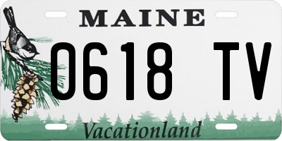 ME license plate 0618TV