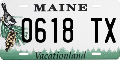 ME license plate 0618TX