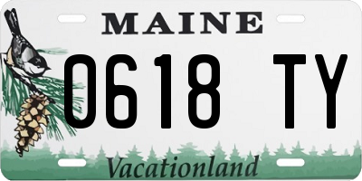 ME license plate 0618TY