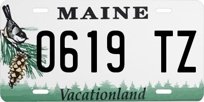 ME license plate 0619TZ