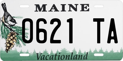 ME license plate 0621TA