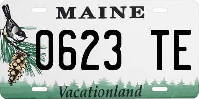 ME license plate 0623TE