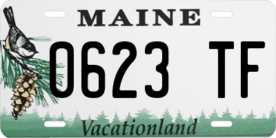 ME license plate 0623TF