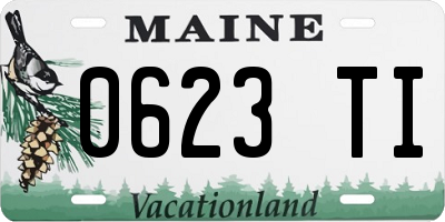 ME license plate 0623TI