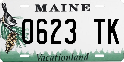 ME license plate 0623TK