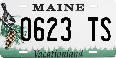 ME license plate 0623TS