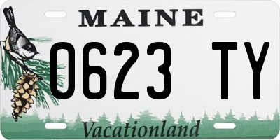 ME license plate 0623TY