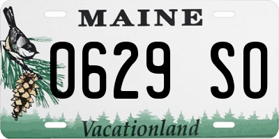 ME license plate 0629SO