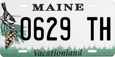 ME license plate 0629TH