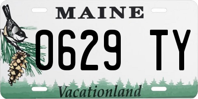 ME license plate 0629TY
