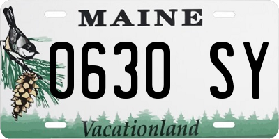ME license plate 0630SY