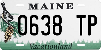 ME license plate 0638TP