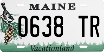 ME license plate 0638TR
